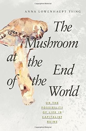 Cover for The Mushroom at the End of the World
