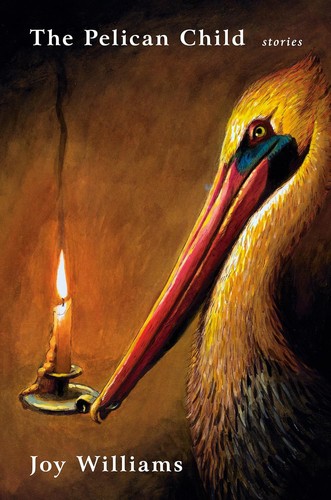 Cover for The Pelican Child